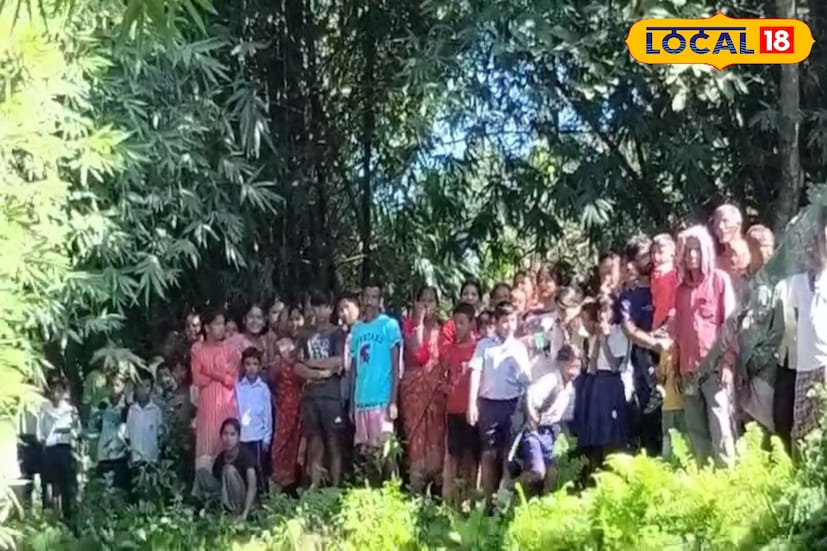 বিশালাকার অজগরটিকে উদ্ধার করে নিয়ে যায় চিলাপাতা রেঞ্জের বনকর্মীরা।সেটিকে প্রকৃতি বিক্ষন কেন্দ্রে চিকিৎসার পর আবারও জঙ্গলে ছেড়ে দেওয়া হবে বলে জানা যায়। শীতের সময় অজগর দেখা যাওয়ার কারণে চিন্তিত সকলে।