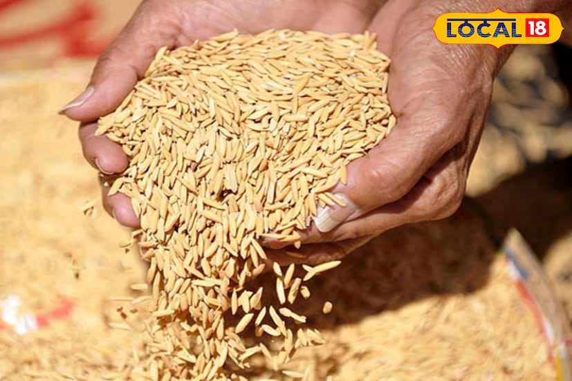 প্রথমে epaddy.wb.gov.in ওয়েবসাইটে প্রবেশ করে ‘Farmer Self-Scheduling’ অপশন থেকে নিজের জেলার কোনো একটি ধান ক্রয় কেন্দ্র নির্বাচন করতে হবে। এরপর ধান পৌঁছানোর দিন ও সময়ের স্লট বেছে নিতে হবে। সাধারণত প্রতিদিন একটি ক্রয় কেন্দ্রে ৬০ জন কৃষকের কাছ থেকে ধান কেনা হয়। তাই আগে থেকে স্লট বুক না করলে সমস্যায় পড়তে পারেন।