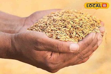 সরকারি সহায়ক মূল্যে ধান বিক্রি করছেন! এই ৫ নথিগুলি না থাকলে সমস্যায় পড়তে পারেন আপনি