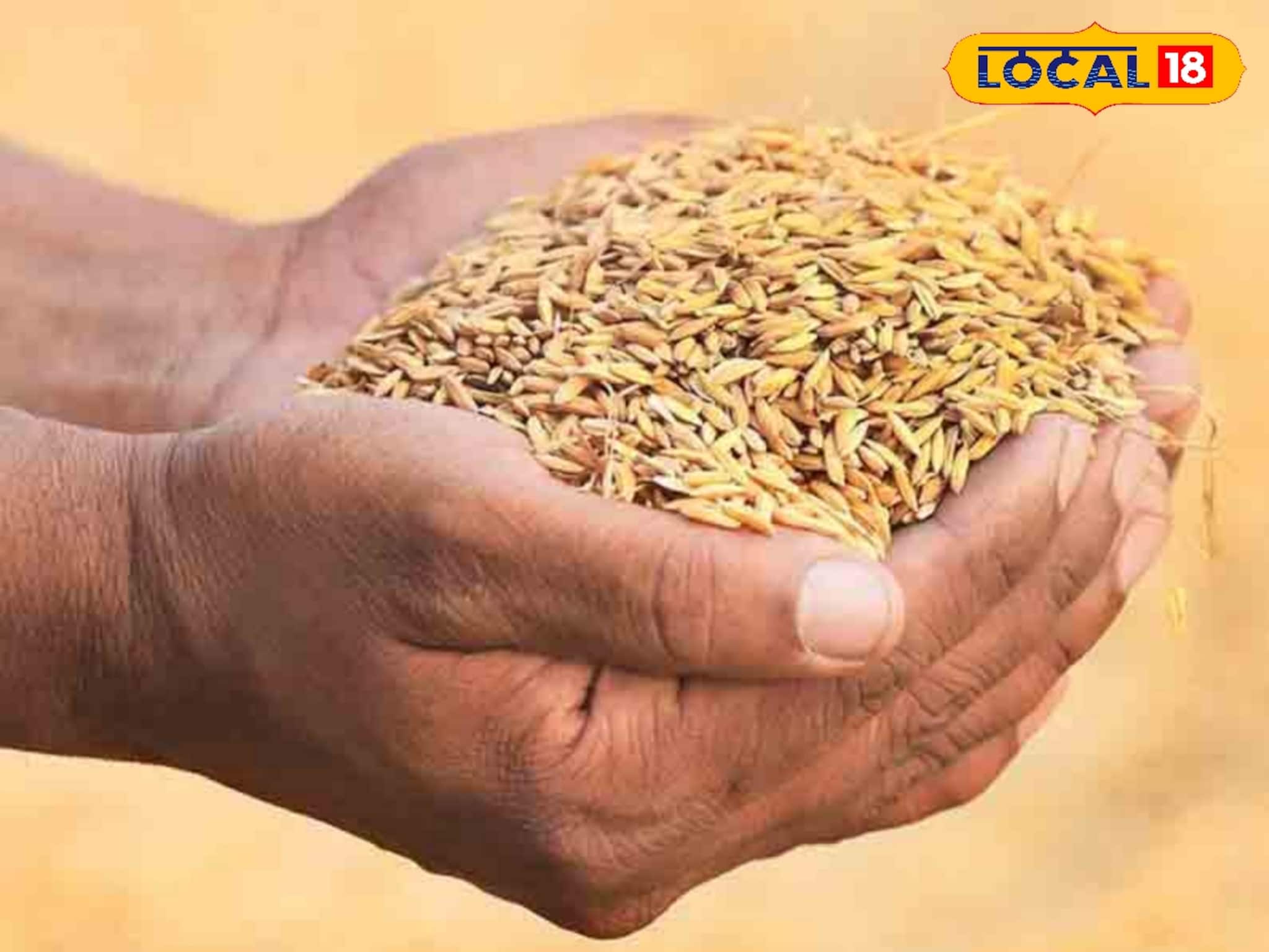 সরকারি সহায়ক মূল্যে ধান বিক্রি করছেন! এই ৫ নথিগুলি না থাকলে সমস্যায় পড়তে পারেন আপনি