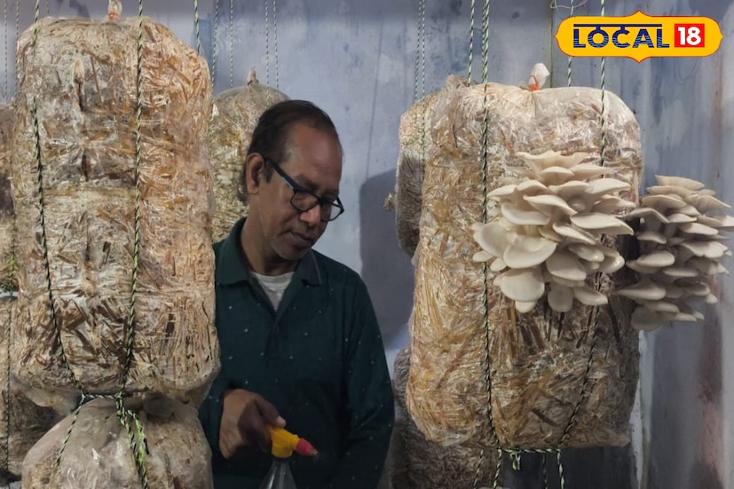 এই ধরনের কাজ অন্যান্য সরকারি স্কুলে হলে ছাত্রছাত্রীরা মন খুলে সব কথা বলতে পারবেন সকলকে। ধারণা তৈরি হবে গুড টাচ ব্যাড টাচ সম্পর্কে। বাঁকুড়ার এই নিম্ন বুনিয়াদী বিদ্যালয় বারবার এক্সাম্পেল সেট করছে। (ছবি ও তথ্য নীলাঞ্জন বন্দ্যোপাধ্যায়)