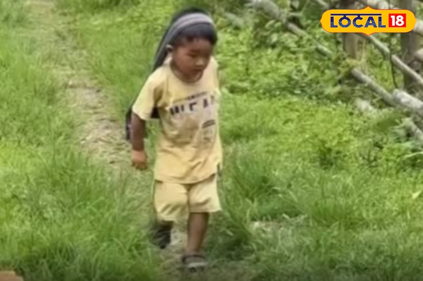 সুয়াওম যদিও সোশ্যাল মিডিয়া বোঝে না, তবে বোঝে মানুষ তাকে ভালোবাসে। তার কথায় আগে কখনও খেলনা দেখিনি… এখন সবাই পাঠায়, খেলতে ভালো লাগে। মা এইসব দেখে কাঁদে।” চকচকে শহুরে জীবনের বাইরে পাহাড়ের কোলে বড় হওয়া এই লিটল মিল্কম্যান দেখিয়ে দিয়েছে পরিশ্রম ও আত্মনির্ভরতার বাস্তব রূপ। তিন বছরের ছোট্ট শরীর আর বড় হৃদয় সেখানেই লুকিয়ে আছে পাহাড়ি জীবনের সবচেয়ে সুন্দর গল্প!