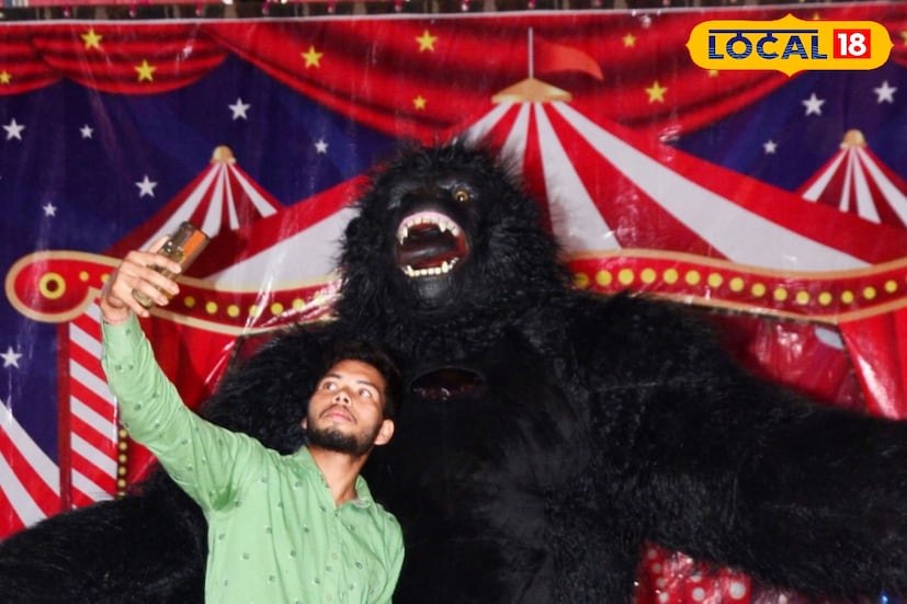 এরপর কিংকং নিয়ে বহু সিনেমা হয়েছে। এখনও হয়ে চলেছে। এবার সার্কাসেও কিংকং সেজে ঢুকে পড়লেন বীরেশ্বর। বারুইপুরের রাসমাঠে চলছে রাজধানী সার্কাস। সেখানে আসর মাতাচ্ছে কিংকং। আট থেকে আশির ভিড় সার্কাস তাঁবুতে। খেলা শেষে কিংকংয়ের সঙ্গে একটি সেলফি তুলতে প্রবল উৎসাহ ছোটদের। বড়রাও কম উৎসাহী নন।