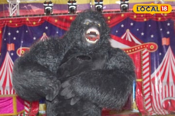 চমকে ঠাসা এবারের বারুইপুর সার্কাস! রাশিয়ান দম্পতির খেলা, হিন্দি গানে গোরিলার নাচ চমকে ঠাসা এবারের বারুইপুর সার্কাস! রাশিয়ান দম্পতির খেলা, হিন্দি গানে গোরিলার নাচ