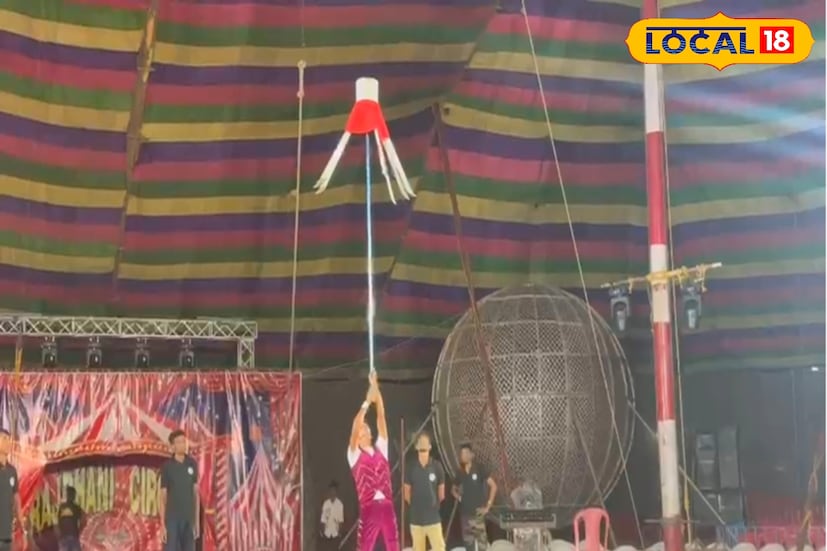 দু'বছর ধরে সার্কাসে কাজ করছেন বীরেশ্বর। তাঁর বাবা কৃষক। কিংকং স্পষ্ট বাংলায় জানালেন, 'সার্কাসে আসার আগে গাড়ি চালাতাম। কিন্তু সংসার চলত না। তাই বাড়তি রোজগারের আশায় সার্কাসে যোগ দিয়েছিলাম। এখন আমার মোটামুটি চলে যাচ্ছে। ছুটি নিয়ে বাড়ি যাই। পরিবারের সঙ্গে দেখা হয়। দর্শকরা হাততালি দিলে বা সেলফি তুলতে এলে খেলা দেখানো সার্থক হয়।' (ছবি ও তথ্য: সুমন সাহা)