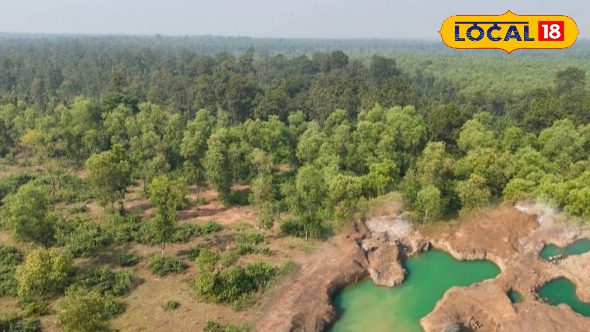 শীত মানেই পিকনিক, মেদিনীপুরের ধামকুড়িয়ার জঙ্গলে চড়ুইভাতি না করলে কিন্তু বড় মিস