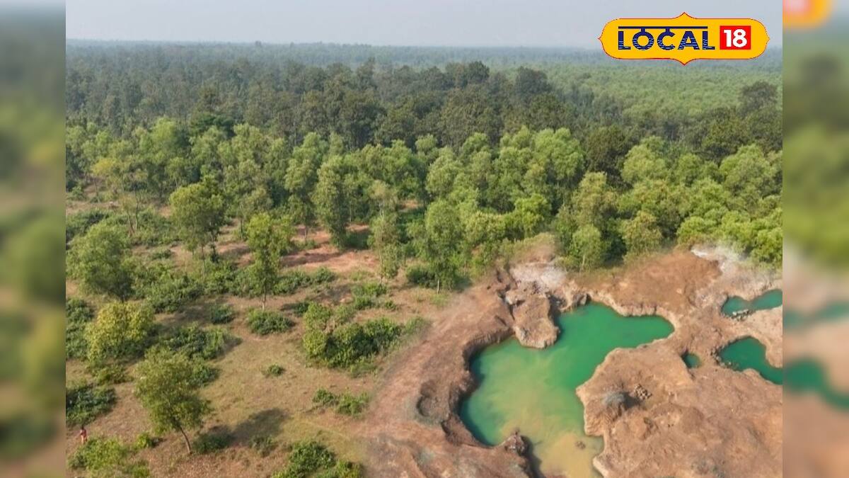 পশ্চিম মেদিনীপুর নিউজঃ শীত মানেই পিকনিক, মেদিনীপুরের ধামকুরিয়া বনে না গেলে মিস করবেন। পশ্চিম মেদিনীপুর নিউজঃ শীত মানেই পিকনিক, মেদিনীপুরের ধামকুরিয়া বনে না গেলে মিস করবেন।