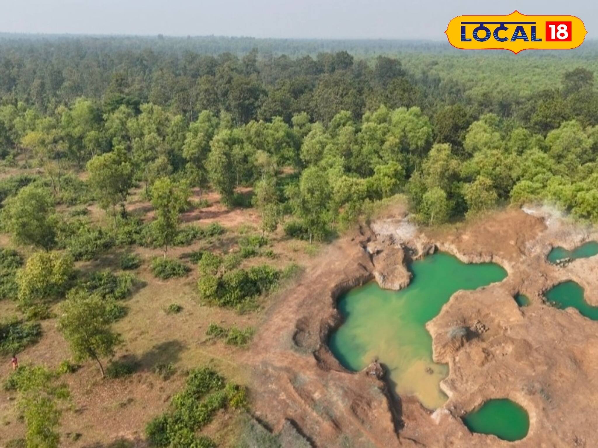 Picnic Spots: শীত মানেই পিকনিক, মেদিনীপুরের ধামকুড়িয়ার জঙ্গলে চড়ুইভাতি না করলে কিন্তু বড় মিস