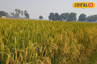 কৃষক বন্ধু প্রকল্পের জরুরি খবর! আধার লিঙ্ক না থাকলে টাকা পাবেন না! এখনই স্ট্যাটাস চেক করুন