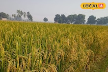 Krishak Bandhu Scheme: কৃষক বন্ধু প্রকল্পের জরুরি খবর! আধার লিঙ্ক না থাকলে টাকা পাবেন না! এখনই স্ট্যাটাস চেক করুন, প্রক্রিয়া জেনে নিন