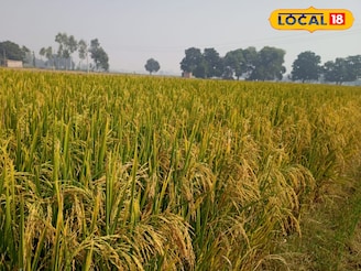 কৃষক বন্ধু প্রকল্পের জরুরি খবর! আধার লিঙ্ক না থাকলে টাকা পাবেন না! এখনই স্ট্যাটাস চেক করুন