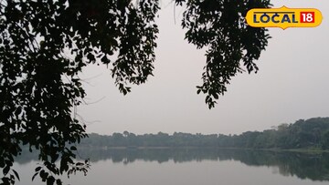 সায়রের