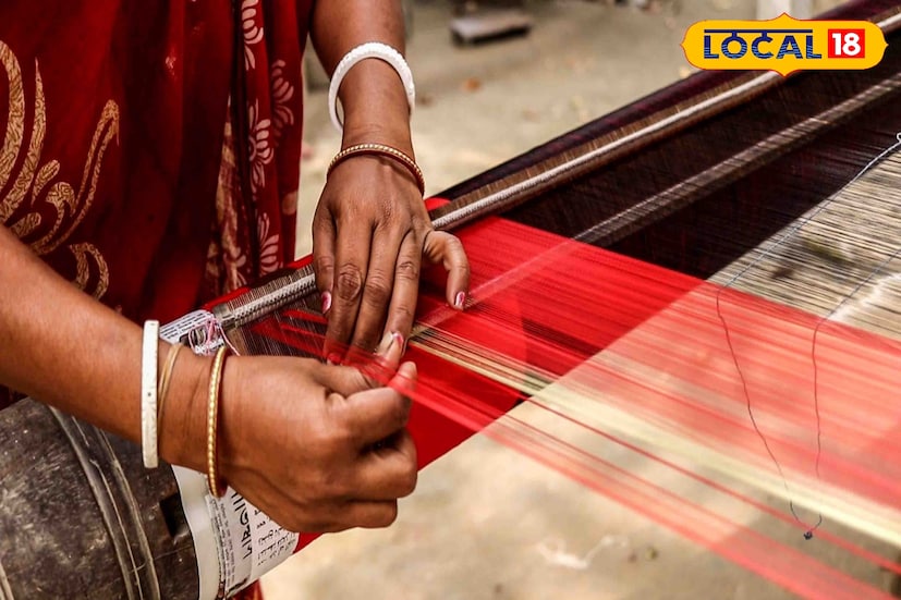 এছাড়া শান্তিপুর তাঁতশিল্প সমবায় সমিতি, ফুলিয়া বঙ্গশ্রী তাঁত সমবায় এবং স্থানীয় ছোট-ছোট বুটিকেও নিয়মিত ক্রেতার চাপ থাকে। কলকাতা সহ বিভিন্ন শহরের পাইকারি ব্যবসায়ীরাও নিয়মিত এখান থেকে শাড়ি নেন।