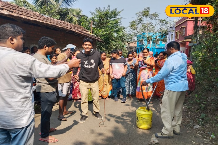 বসত বাড়িতে কিলবিল করছে কেউটে! উত্তর মাজু‌ পাবলিক লাইব্রেরি সংলগ্ন রাজু শুক্লার বাড়ির উঠোন থেকে একটি বড় কেউটে-সহ ১০টি কেউটে সাপের বাচ্চা উদ্ধার করলেন বন দফতরের কর্মীরা। বসত বাড়ি থেকে বেরিয়ে এল, বাচ্চা সহ কেউটের দল। এমন ঘটনাকে কেন্দ্র করে রীতিমতো চাঞ্চল্য ছড়ায় এলাকায়। (ছবি ও তথ্য: রাকেশ মাইতি)