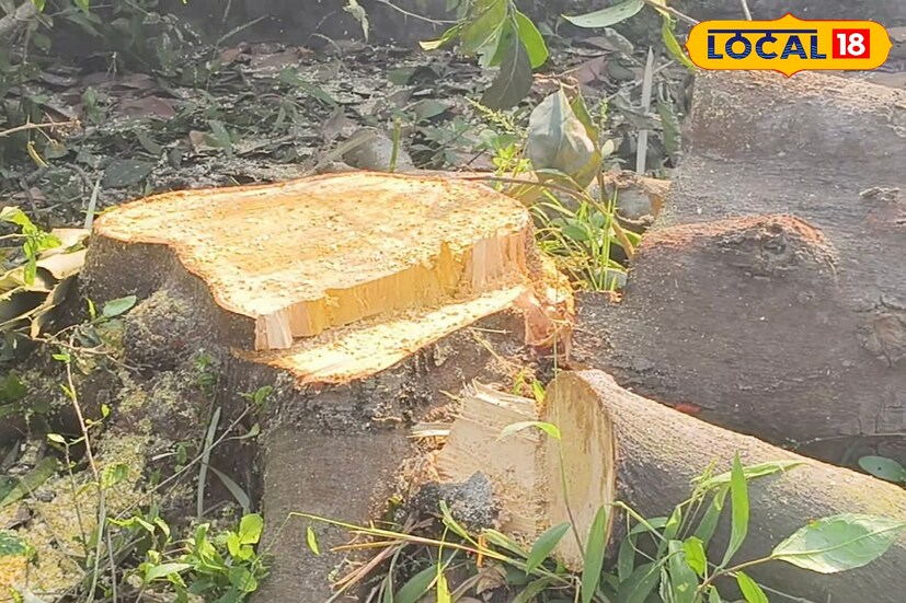 এই বিষয় পরিবেশ কর্মী শোভিক চ্যাটার্জী জানান, 