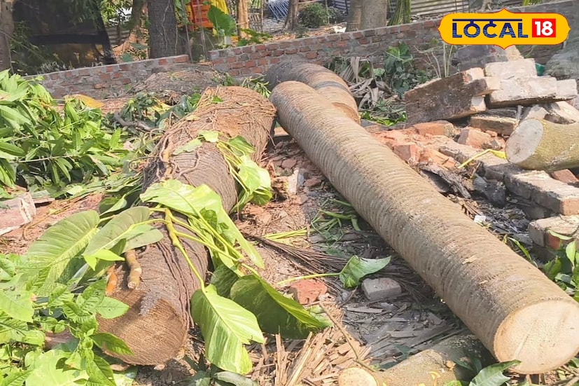 এলাকার মানুষের প্রশ্ন, অপরাধীরা কোথা থেকে পাচ্ছে সাহস এইভাবে পরিবেশ ধ্বংস করার? স্থানীয় বাসিন্দাদের এও অভিযোগ, প্রশাসনের উচিৎ নির্দিষ্ট ধারায় কেস শুরু করে দোষীদের দৃষ্টান্তমূলক শাস্তির ব্যবস্থা করার। নিয়মকে বুড়ো আঙুল দেখিয়ে সবুজ ধবংস চলছে দিনের আলোয়।