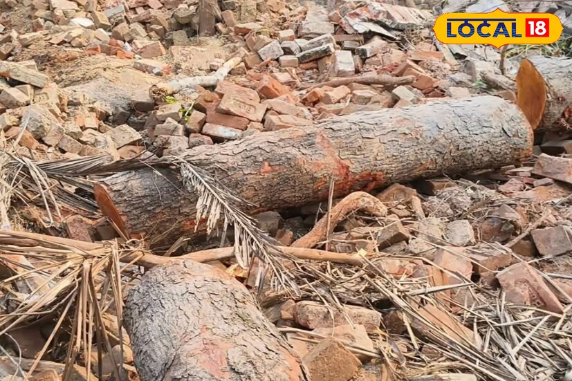 রাজ্যের মুখ্যমন্ত্রী মমতা বন্দ্যোপাধ্যায়ের নির্দেশকে অমান্য করে এই কাজ। প্রকাশ্যে দিনের আলোয় প্রশাসনকে বুড়ো আঙুল দেখিয়ে চলছে অবাধে গাছ কাটা। উত্তরপাড়া পুরসভার ২১ নম্বর ওয়ার্ডের অন্তর্গত টিএন মুখার্জী রোডের পাশেই জমিতে গাছ কাটা হয় বলে অভিযোগ।