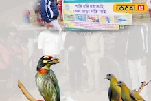 West Medinipur News: বটগাছের নীচে পড়ে রয়েছে সারি সারি মরা পাখি, কীভাবে ঘটল ভয়াবহ ঘটনা, গোটা এলাকায় আতঙ্ক