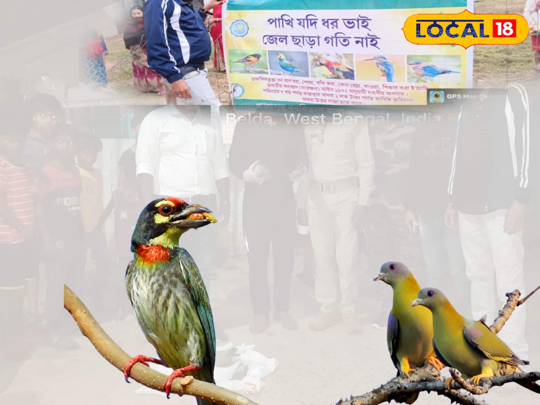 West Medinipur News: বটগাছের নীচে পড়ে রয়েছে সারি সারি মরা পাখি, কীভাবে ঘটল ভয়াবহ ঘটনা, গোটা এলাকায় আতঙ্ক