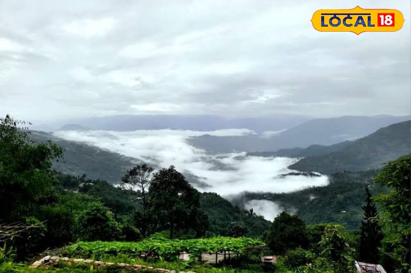 যদি ভিড়ভাট্টা থেকে মুক্ত, একান্তে পাহাড়কে নিজের মতো করে অনুভব করার জায়গা খুঁজে থাকেন, তবে কালিম্পংয়ের কাছে 