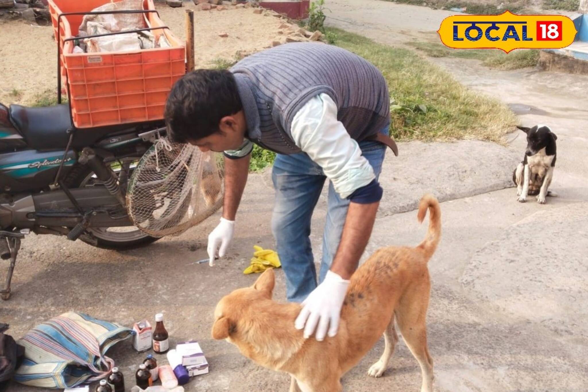 মাছের আড়তে অক্লান্ত শ্রমেও কাটে না অভাব, পথকুকুরদের জন্য বাইকে ভ্রাম্যমাণ হাসপাতাল আমিরের
