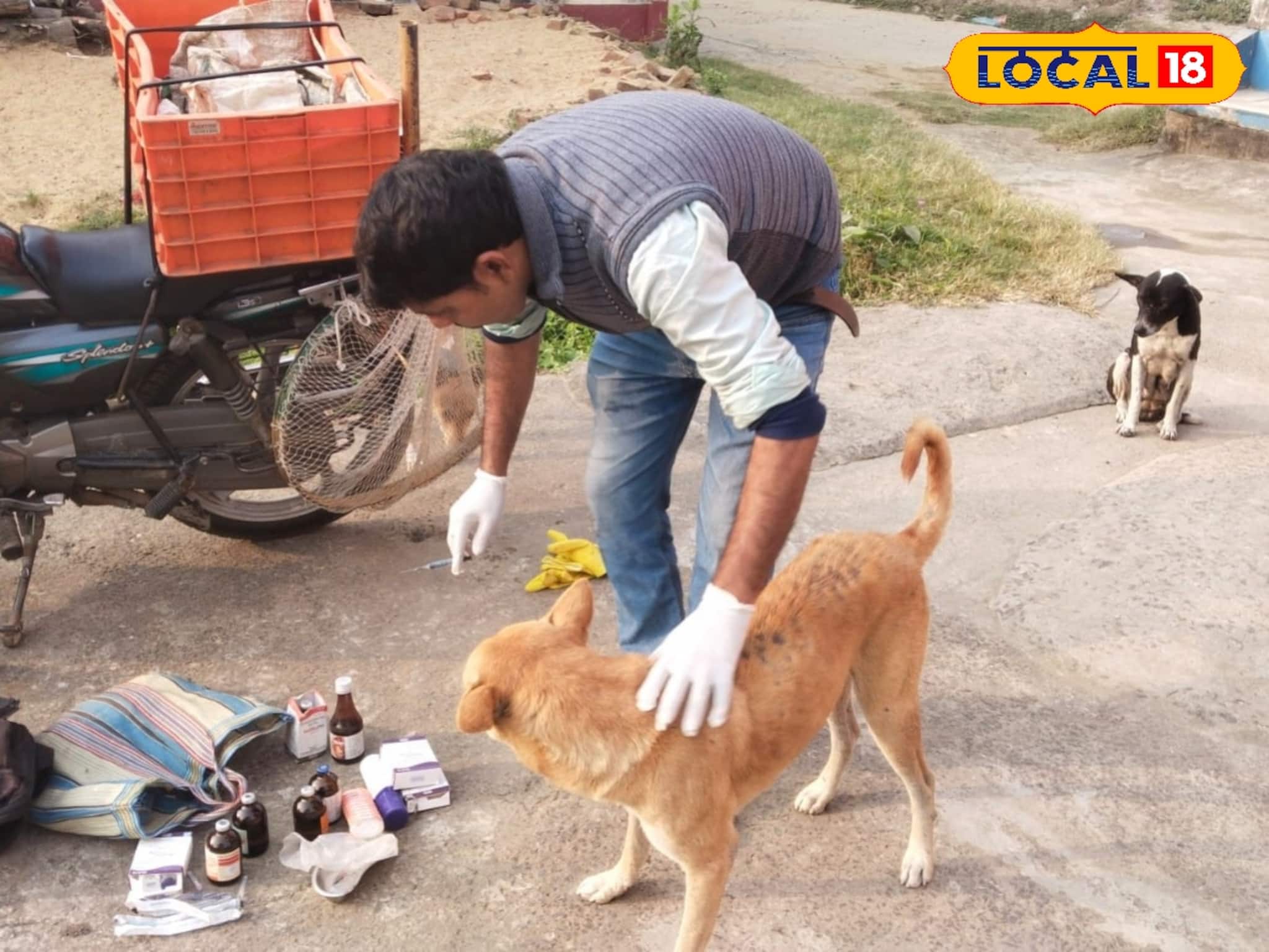 East Bardhaman Dog Lover: মাছের আড়তে অক্লান্ত শ্রমে কোনওমতে চলে সংসার, পথকুকুরদের জন্য মোটরসাইকেলে ভ্রাম্যমাণ হাসপাতাল চালান আমির