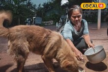 শৈলশহরে পোষ্য নিয়ে ঘুরতে গেলে চালু হচ্ছে নতুন নিয়ম, না মানলে জরিমানা