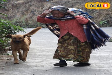 শৈলশহরে পোষ্য নিয়ে ঘুরতে গেলে চালু হচ্ছে নতুন নিয়ম, না মানলে জরিমানা