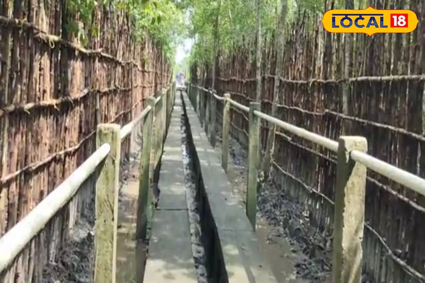 এখানে জঙ্গলের মাঝ থেকে একটি রাস্তা চলে গিয়েছে। এই রাস্তায় যেতে গায়ে কাঁটা দিয়ে উঠবে আপনার। আর রয়েছে ওয়াচ টাওয়ার। রয়েছে পর্যাপ্ত নিরাপত্তার ব্যবস্থা।