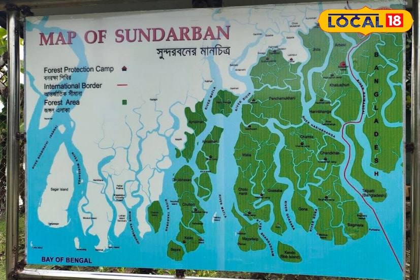 এই ক্যাম্পটি একমাত্র ক্যাম্প যেখান থেকে বাংলাদেশের সুন্দরবন অংশ ও ভারতের সুন্দরবন অংশকে দেখতে পাবেন। বুড়ির ডাবরি ক্যাম্পের পাশ থেকেই চলে গিয়েছে আন্তর্জাতিক সীমান্ত।
