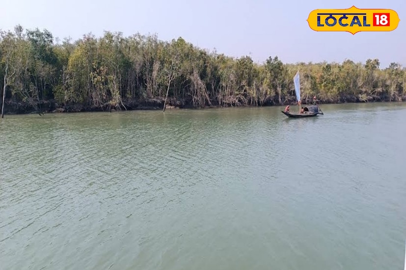 এই শীতে বাংলাদেশ ও ভারতের সুন্দরবনকে একসঙ্গে দেখতে ঘুরে আসুন বুড়ির ডাবরি ফরেস্ট ক্যাম্প থেকে। সুন্দরবন টাইগার রিজার্ভের অন্তর্গত এই ক্যাম্প মন ভোলাবে আপনার। এখানে রয়েছে বিপুল বন্যপ্রাণীর সমাহার। (ছবি ও তথ্য: নবাব মল্লিক)