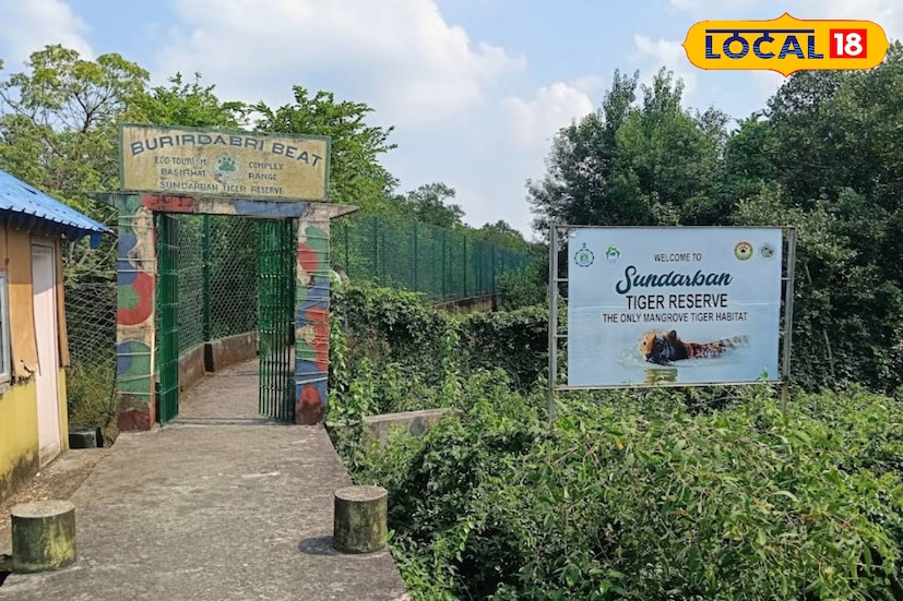 এখানে আসতে হলে শিয়ালদহ থেকে ট্রেনে চেপে ক্যানিং স্টেশনে যেতে হবে। সেখান থেকেই ট্যুর অপারেটররা অটোয় চাপিয়ে সোনাখালি নিয়ে যাবেন। সোনাখালি থেকে লঞ্চ বা ভুটভুটিতে চেপে শুরু হবে সুন্দরবনের এই ক্যাম্পে যাত্রা।