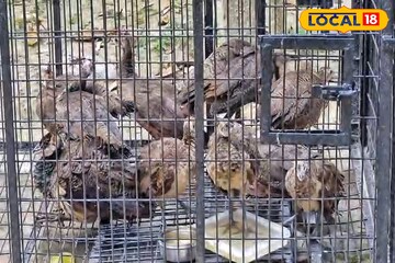 রাতের অন্ধকারে কাঁটাতারের ওপাড়ে ছুড়ে ফেলা হচ্ছিল প্যাকেট! খুলতেই চক্ষু চড়কগাছ বিএসএফ-এর