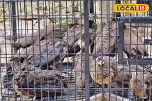 রাতের অন্ধকারে কাঁটাতারের ওপাড়ে ছুড়ে ফেলা হচ্ছিল প্যাকেট! খুলতেই চক্ষু চড়কগাছ বিএসএফ-এর