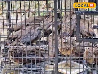 রাতের অন্ধকারে কাঁটাতারের ওপাড়ে ছুড়ে ফেলা হচ্ছিল প্যাকেট! খুলতেই চক্ষু চড়কগাছ বিএসএফ-এর