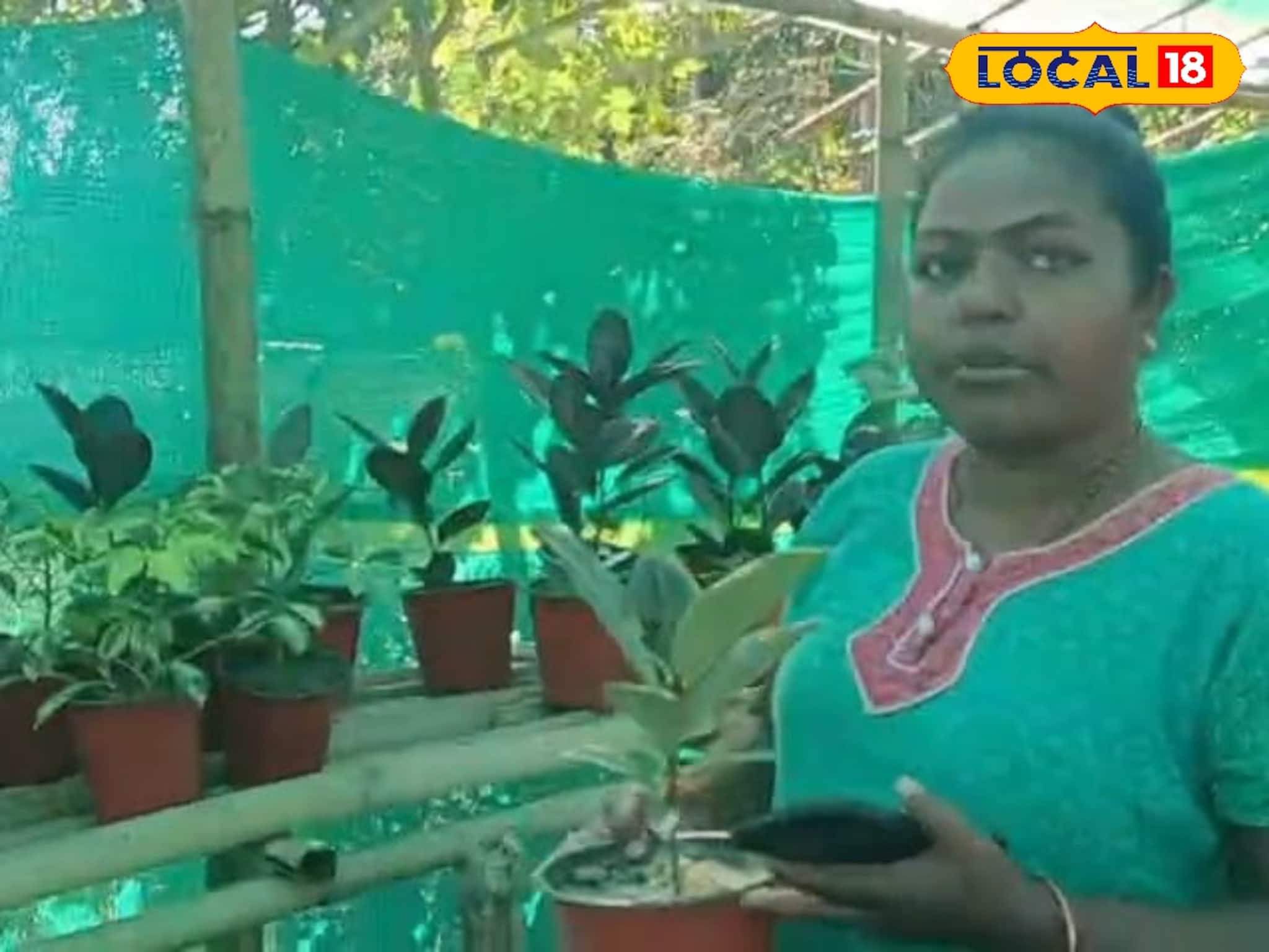 Success Story: বাড়ির সামনে একফালি জমিতে গাঁদা চাষে লক্ষ্মীলাভ! ফুলগাছ রোপণের শখকে পেশায় পাল্টে শিক্ষিকা এখন সফল ফুলচাষি!