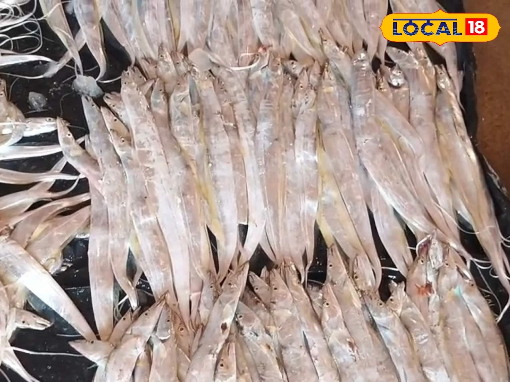 Fish : দেখতে ফিতের মতো, দিঘার মোহনায় শীতের সময় এই মাছের বিরাট চাহিদা! এত সুস্বাদু, একবার খেলে স্বাদ ভুলবেন না কখনও!