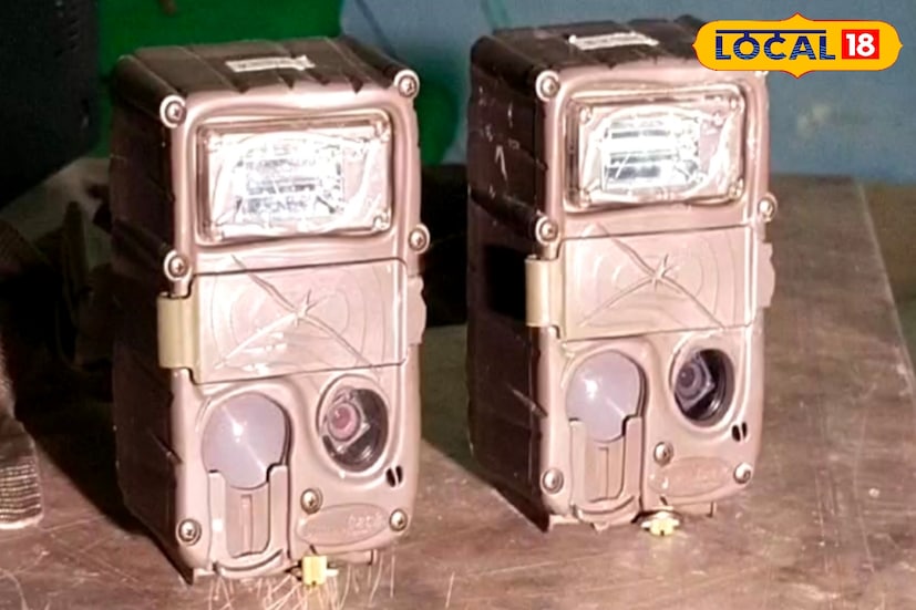 মূলত জঙ্গলের বিভিন্ন প্রান্তে স্বয়ংক্রিয় ক্যামেরা বসিয়ে বাঘেদের ছবি তোলা হয়। নির্দিষ্ট সময় পর সেই ক্যামেরা খুলে নেওয়া হয়। ক্যামেরায় ওঠা বাঘেদের ছবি বিশ্লেষণ করে পাওয়া তথ্য প্রকাশ করে কেন্দ্রীয় সরকার। ঠিক একই পদ্ধতিতে সুন্দরবন ব্যাঘ্র প্রকল্পও নিজেদের মতো করে তাঁদের এলাকায় বাঘেদের পরিসংখ্যান নিয়ে থাকে।