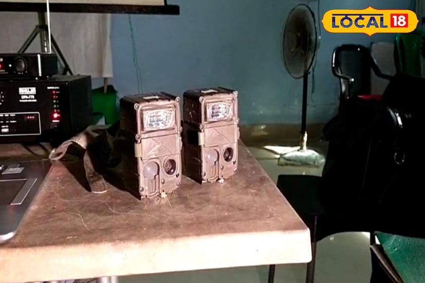 মোট ১৬০ জোড়া ক্যামেরা বসানো হবে। মাতলা রেঞ্জে ২০ জোড়া, রায়দিঘি রেঞ্জে ৭০ জোড়া ও রামগঙ্গা রেঞ্জে ৭০ জোড়া। ক্যামেরাগুলি প্রায় ৪৫ দিন পর খুলে নেওয়া হবে। এরপর সেই ক্যামেরার ছবিগুলি বিশ্লেষণ করার পর সুন্দরবনে কতটা বাঘ বেড়েছে তা প্রকাশ করা হবে।