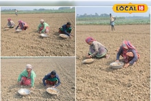 East Bardhaman News: বীজের দাম কমলেও সার কিনতে গিয়ে পকেটে কোপ, ক্ষোভে ফুঁসছেন আলু চাষিরা