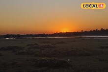 Dooars Tourism: চোখ মেললেই কাঞ্চনজঙ্ঘা! পা ফেললেই নেওরা নদী! চাবাগানে অনাবিল সৌন্দর্যের ঠিকানা ডুয়ার্সের ছাওয়াফেলি