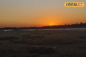 চোখ মেললেই কাঞ্চনজঙ্ঘা! পা ফেললেই নেওরা নদী! চাবাগানে ভরপুর সৌন্দর্য ডুয়ার্সের ছাওয়াফেলিতে