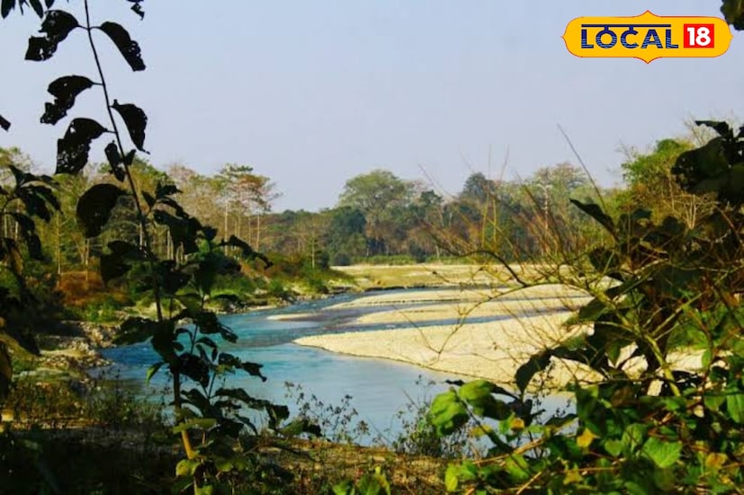 গ্রামে ঘরবাড়ির সংখ্যা অল্প, মানুষের ভিড় নেই বললেই চলে। আর ঠিক সেই নির্জনতাকেই ঘিরে তৈরি হয়েছে এক অনন্য রূপ। গ্রামের পাশে বয়ে গেছে নেওরা নদী, যার বিস্তীর্ণ চরে বিকেলের দিকে দেখা মেলে বন্যপ্রাণের আনাগোনা। জল খেতে আসা হাতির দল, দূরে গর্জন তুলে ঘুরে বেড়ানো বাইসন...এ দৃশ্য চোখের সামনে ধরা দেবে এমনটা ভাবাই যায় না। কিন্তু ছাওয়াফেলিতে দাঁড়ালে প্রকৃতিই সেই চমক আপনাকে উপহার দেবে।