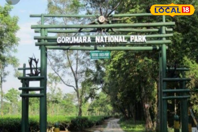 আপনি যদি গরুমারা জঙ্গল ঘুরতে আসেন, তাহলে এক বিকেলের জন্য হলেও চলে যান ছাওয়াফেলি। ছোট্ট একটা হোমস্টে বুক করলেই মিলবে প্রকৃতির কোলে মোড়া সেই গোপন সৌন্দর্য ,যা ফিরে এসে বহুদিন আপনার মনের কোণে রয়ে যাবে।