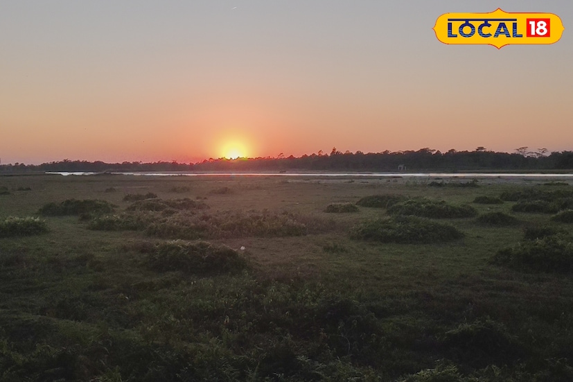 এর মধ্যে গরুমারা জঙ্গল ঘুরতে আসছেন? তা হলে দিই একটি গোপন জায়গার খোঁজ। যে জায়গাটি অনেকেই এখন ও জানেন না। সেই গোপন রত্ন হল 