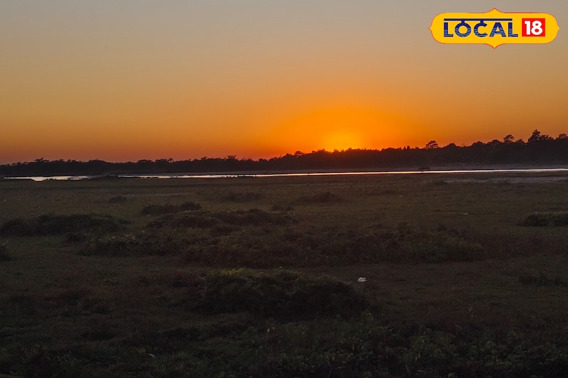 শুধু প্রাণীজগতই নয়, এখানকার আকাশও যেন আলাদা রঙে সাজে। পরিষ্কার আবহাওয়ায় এখান থেকেই ধরা দেয় ঘুমন্ত কাঞ্চনজঙ্ঘা। লাল আভায় ঝলমল করে ওঠা সেই বিকেলের রূপ মনকে ছুঁয়ে যায় অন্য মাত্রায়। রাস্তায় একটু অন্তর অন্তর দেখা মেলে ময়ূরেরও। কখনও রাস্তার মাঝেই দাঁড়িয়ে সে যেন পর্যটকদের নিজের রূপ দেখিয়ে যায় নির্ভয়ে।