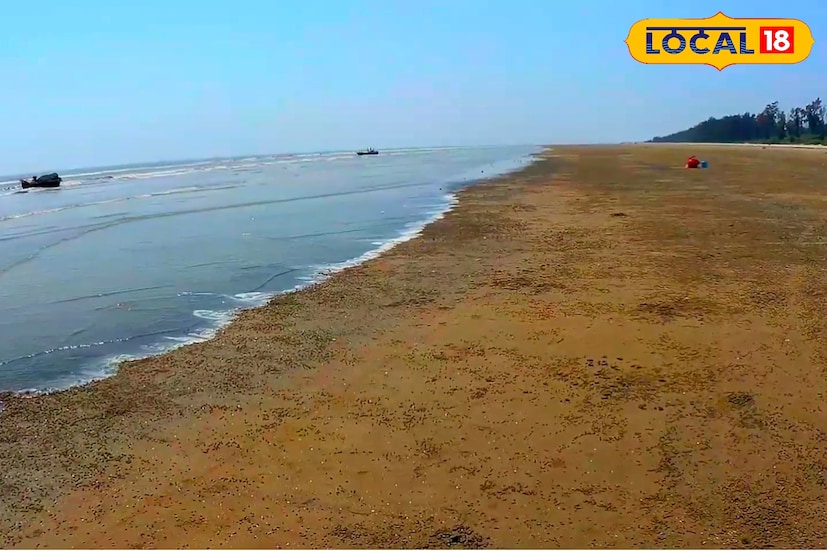 নির্জন, কোলাহলহীন আর শান্ত পরিবেশই হরিপুর সমুদ্র সৈকতের প্রধান পরিচয়। এখানে পর্যটকের খুব একটা ভিড় নেই বললেই চলে। তবে মাঝেমধ্যে স্থানীয় জেলেদের দেখা মেলে। আর ভোরবেলায় পৌঁছাতে পারলে চোখে পড়ে মাছ ধরার সুন্দর দৃশ্য। চারিদিকে বিস্তৃত ঝাউবন, নোনা হাওয়ার দোল আর ঢেউয়ের ছন্দ সব মিলিয়ে এই সমুদ্র সৈকত আপনার মনকে মুহূর্তেই প্রশান্ত করে।