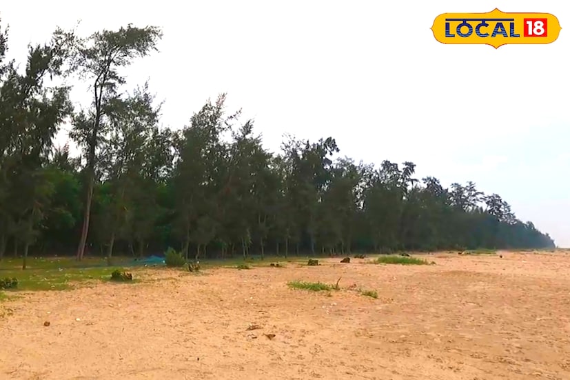 হরিপুর সৈকতের পাশেই রয়েছে হরি মন্দির ও বিশ্বনাথের মন্দির, চাইলে আপনি এখানে ঘুরে আসতে পারেন। এই সমুদ্র সৈকতে এখনও কৃত্রিমতার ছোঁয়া লাগেনি, ফলে পরিবেশ শান্ত ও নির্মল। এখানে আজও দেখা যায় খুঁটি পুঁতে মাছ ধরার ঐতিহ্যবাহী পদ্ধতি। মাঝে মাঝে শুটকি মাছ শুকোনো করার দৃশ্যও চোখে পড়ে। চিংড়ির গন্ধে লাল কাঁকড়ার দল সৈকতে আরও বেশি ভিড় জমায়। পুরো এলাকায় এখনও গ্রামবাংলার সরলতা অটুট। এক পর্যটক ইন্দ্রানী মহাপাত্রর কথায়, “হরিপুরে এসে মনে হল, এত শান্ত সমুদ্র আগে কখনও দেখিনি। যেন নিজের জন্যই পুরো সৈকতটা খালি।”