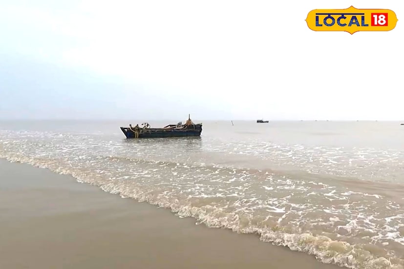 হরিপুর যেতে হলে প্রথমে কলকাতা থেকে ট্রেন বা বাসে কাঁথি পৌঁছাতে হবে। সেখান থেকে অটো বা টোটো করে সহজেই পৌঁছে যাওয়া যায় এই সমুদ্র সৈকতে। প্রাইভেট গাড়িতেও আসা যায়—এনএইচ ১১৬বি জাতীয় সড়ক ধরে মাত্র আড়াই থেকে তিন ঘণ্টায় কাঁথি পৌঁছান সম্ভব। কাঁথি থেকে কাঁথি–শৌলা রাস্তা হয়ে জুনপুট, সেখান থেকে সমুদ্রপাড় বরাবর দু'কিলোমিটার এগোলেই মিলবে হরিপুর সমুদ্র সৈকত।