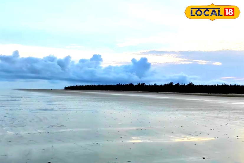 তবে হরিপুরে থাকার মত কোনও হোটেল নেই এখনও। থাকার জন্য বাঁকিপুটের লজ বা কাঁথির হোটেলই ভরসা। কাঁথিতে ৭০০ টাকা থেকে সহজেই অনেক হোটেল পাওয়া যাবে। যারা দিঘা থেকে ফেরার পথে একটু আলাদা অভিজ্ঞতা খুঁজছেন বা খুব কম খরচে শান্ত পরিবেশে সময় কাটাতে চান, তাদের জন্য হরিপুর আদর্শ। সকালে পৌঁছে ঝাউবনে পিকনিক, সমুদ্রস্নান, লাল কাঁকড়া দেখা—সব মিলিয়ে একদিনে ঘুরে আসার জন্য পারফেক্ট জায়গা এটি।